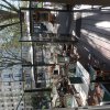 Orgelreise Paris 2025